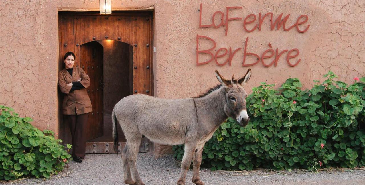 La Ferme Berbere Adult Only Acomodação com café da manhã El Harkat Exterior foto