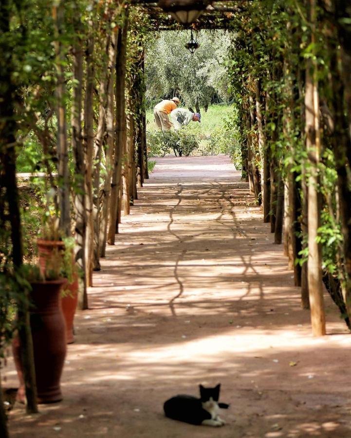 La Ferme Berbere Adult Only Acomodação com café da manhã El Harkat Exterior foto