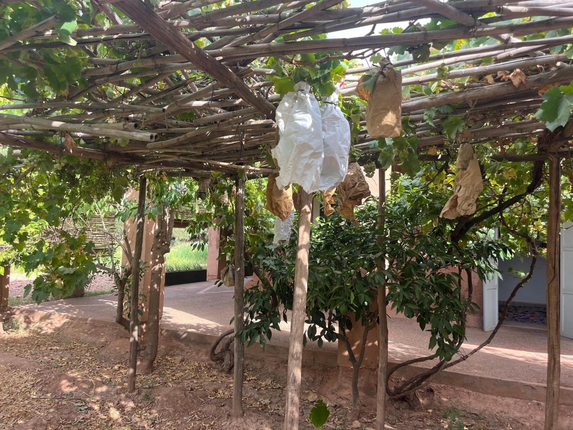 La Ferme Berbere Adult Only Acomodação com café da manhã El Harkat Exterior foto